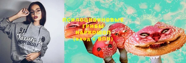 бошки Саяногорск