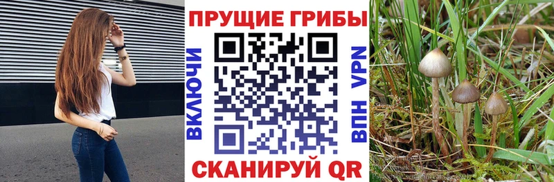Галлюциногенные грибы прущие грибы  Купить закладки  Ейск 